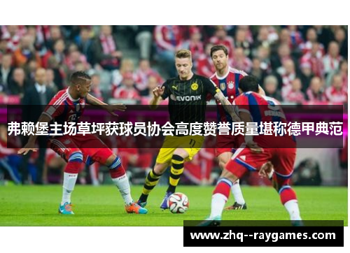 弗赖堡主场草坪获球员协会高度赞誉质量堪称德甲典范