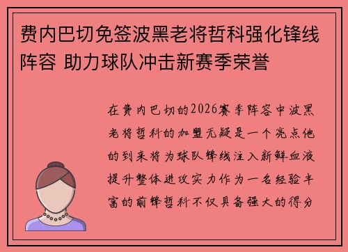 费内巴切免签波黑老将哲科强化锋线阵容 助力球队冲击新赛季荣誉
