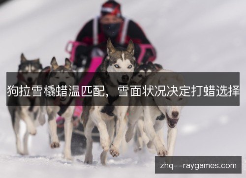 狗拉雪橇蜡温匹配，雪面状况决定打蜡选择